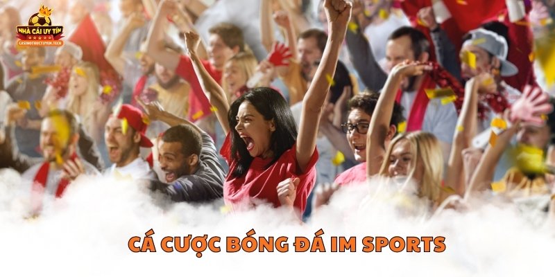 Cá cược bóng đá IM Sports