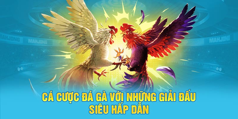 Cá cược đá gà với những giải đấu siêu hấp dẫn