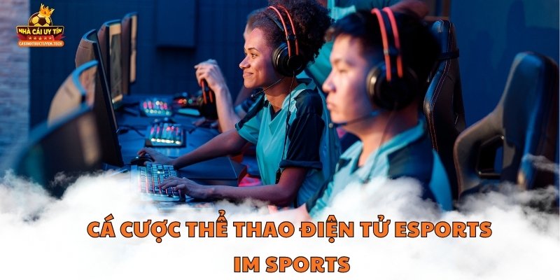 Cá cược thể thao điện tử ESports IM Sports