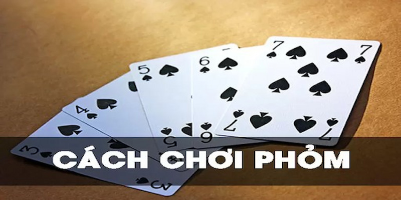 Cách chơi bài Phỏm - Kinh nghiệm từ người có chuyên môn