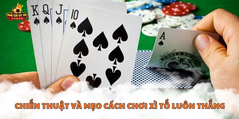 Chiến thuật và mẹo cách chơi xì tố luôn thắng